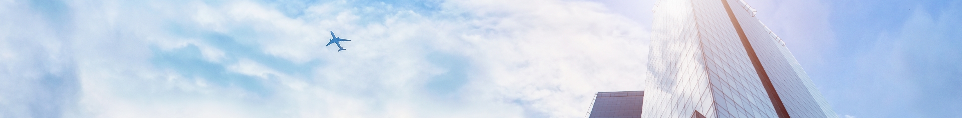   Perfil de la empresa